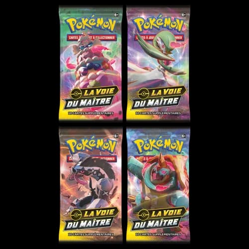 Artset de 4 boosters · La Voie du Maître
